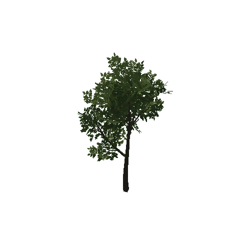 HVR Tree V01 T01 C01